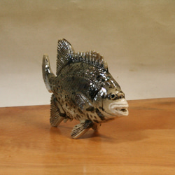 クチジロ（14cm型）・陶芸作品 置物（陶 さかな フィギュア） 3枚目の画像