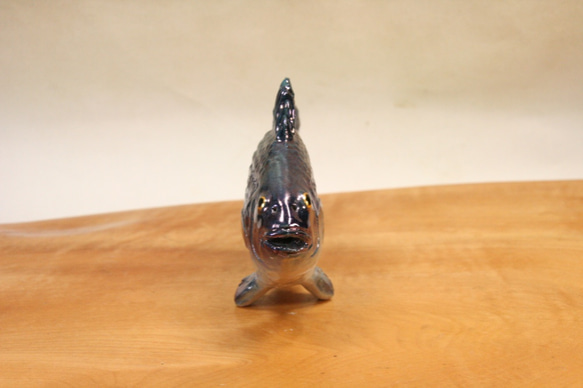 グレ/メジナ（15cm型）・陶芸作品 置物（陶 さかな フィギュア） 6枚目の画像