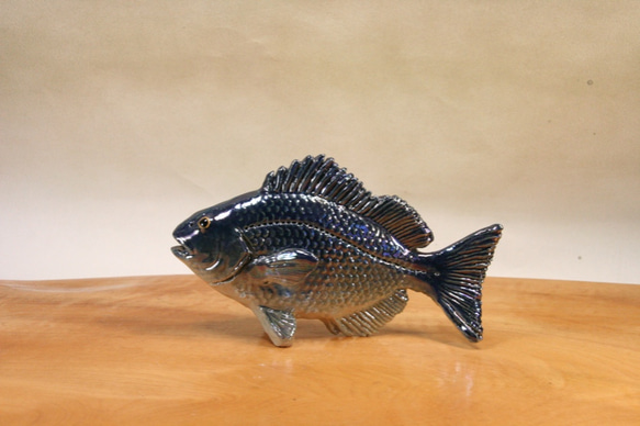 グレ/メジナ（15cm型胸鰭）・陶芸作品 置物（陶 さかな フィギュア
