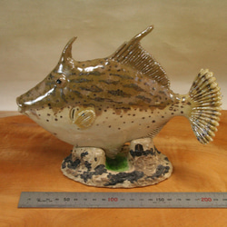 グカワハギ（22cm型）・陶芸作品 置物（陶 さかな フィギュア） 2枚目の画像