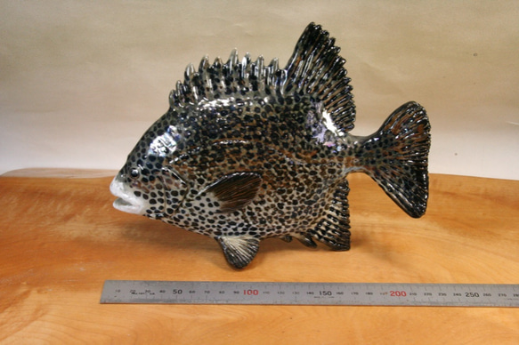 クチグロ（23cm型）・陶芸作品 置物（陶 さかな フィギュア