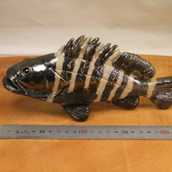 マハタ（22cm型）・陶芸作品 置物（陶 さかな フィギュア） 4枚目の画像