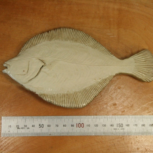 カレイの木彫り飾り 楽天市場】一品作 木製 木彫りの魚 鰈（カレイ）の木彫り