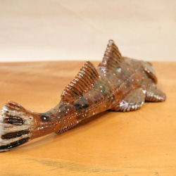 マゴチ（25cm型）・陶芸作品 置物（陶 さかな フィギュア） 7枚目の画像