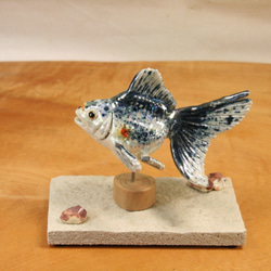 琉金・黒白（10cm型）・陶芸作品 置物（陶 さかな フィギュア