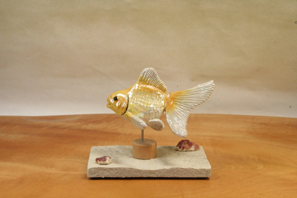 琉金・黄白（10cm型）・陶芸作品 置物（陶 さかな フィギュア） 2枚目の画像