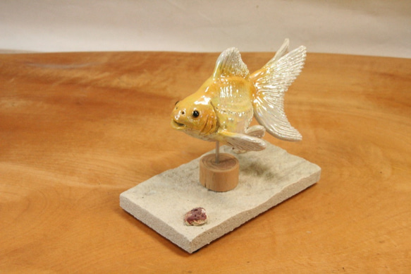琉金・黄白（10cm型）・陶芸作品 置物（陶 さかな フィギュア） 3枚目の画像