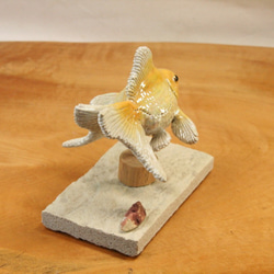琉金・黄白（10cm型）・陶芸作品 置物（陶 さかな フィギュア） 7枚目の画像