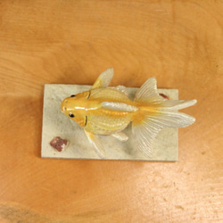 琉金・黄白（10cm型）・陶芸作品 置物（陶 さかな フィギュア） 9枚目の画像