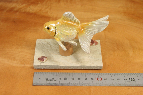 琉金・黄白（10cm型）・陶芸作品 置物（陶 さかな フィギュア） 10枚目の画像