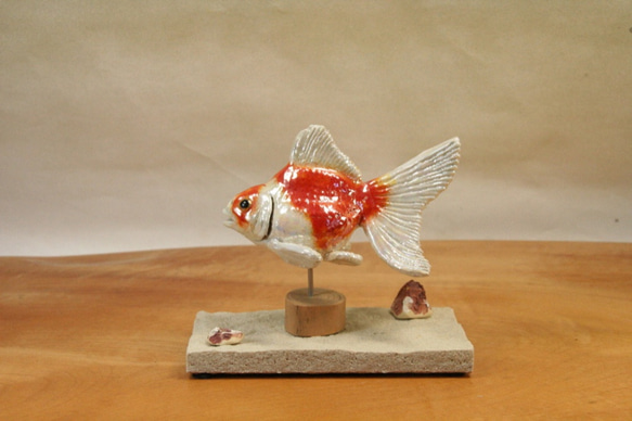 琉金・紅白（10cm型）・陶芸作品 置物（陶 さかな フィギュア） 2枚目の画像