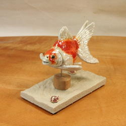 琉金・紅白（10cm型）・陶芸作品 置物（陶 さかな フィギュア） 3枚目の画像