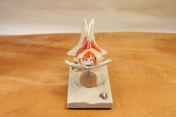 琉金・紅白（10cm型）・陶芸作品 置物（陶 さかな フィギュア） 4枚目の画像