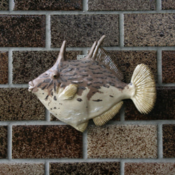 カワハギ（16.5型）・陶芸作品 壁飾り（陶 さかな） 2枚目の画像