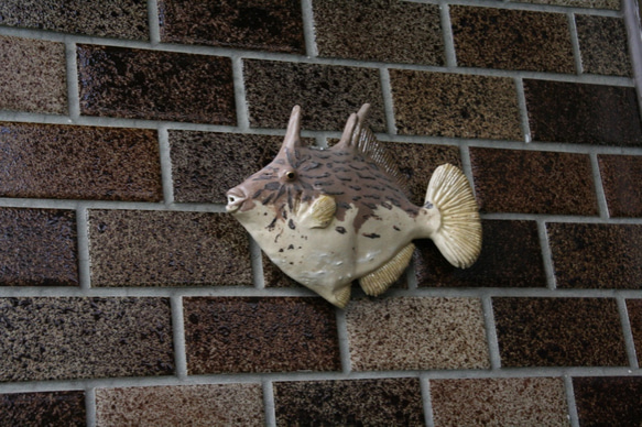 カワハギ（16.5型）・陶芸作品 壁飾り（陶 さかな） 8枚目の画像