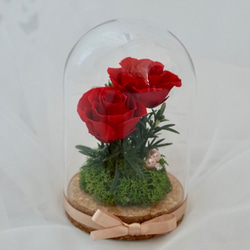 《受注商品》ガラスドーム　赤バラ 4枚目の画像
