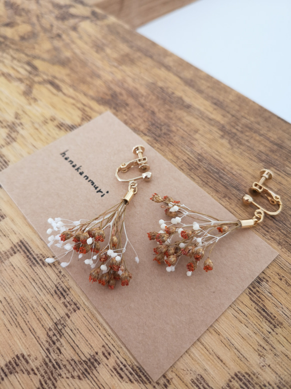 かすみ草とドライフラワーのピアス／イヤリング ピアス（その他 