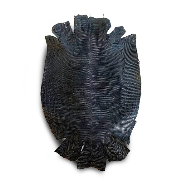 リザード トカゲ革　エキゾチックレザー　レザークラフト 天然素材 艶なしブラック 1枚目の画像