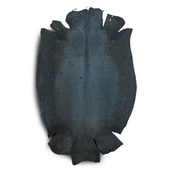 リザード トカゲ革　エキゾチックレザー　レザークラフト 天然素材 艶なしブラック 5枚目の画像