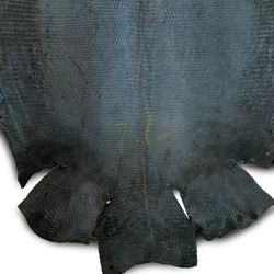 リザード トカゲ革　エキゾチックレザー　レザークラフト 天然素材 艶なしブラック 6枚目の画像