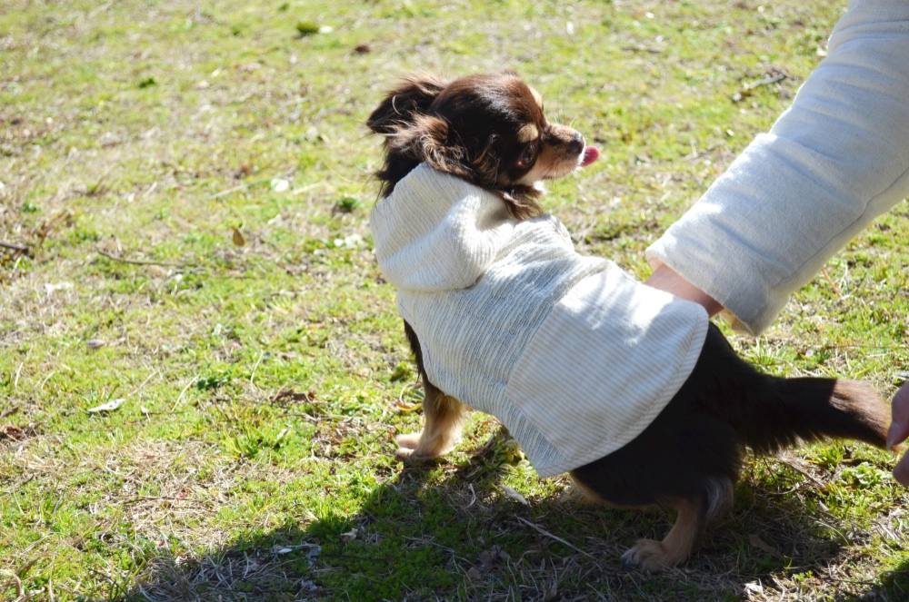 100%オーガニック［わんちゃんのお洋服］
