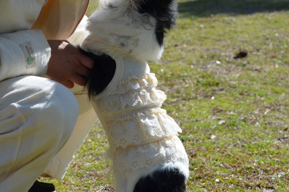 100%オーガニック［わんちゃんのお洋服:フリル］