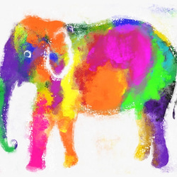 インド象ポスター カラフルな象のプリント 2枚目の画像