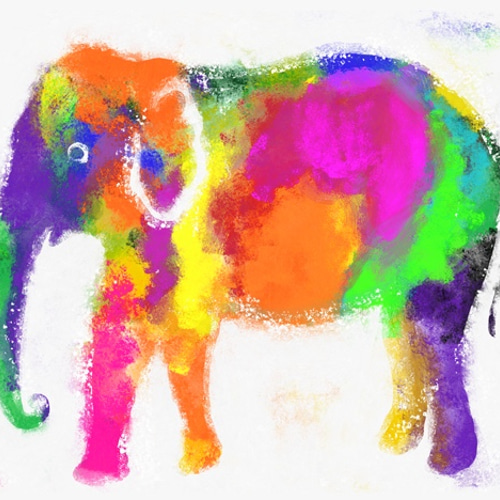 インド象ポスター カラフルな象のプリント 絵画 suzukiandco 通販