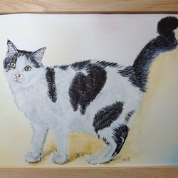 ペット　猫　似顔絵　描きます　（B5サイズ） 4枚目の画像