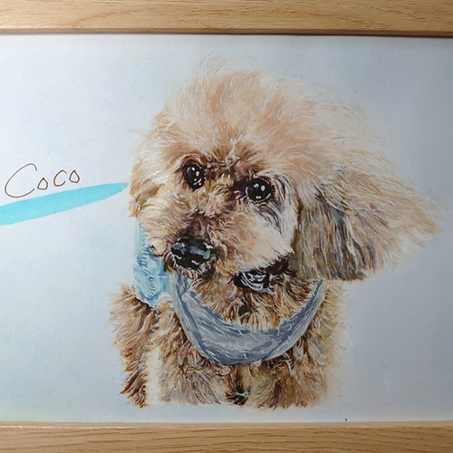 ペット 犬 似顔絵 描きます （B5サイズ） 絵画 りんりんPOP 通販