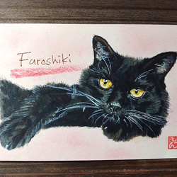 ペット 犬 猫 似顔絵イラスト 描きます （チャコ あい クリン ちー
