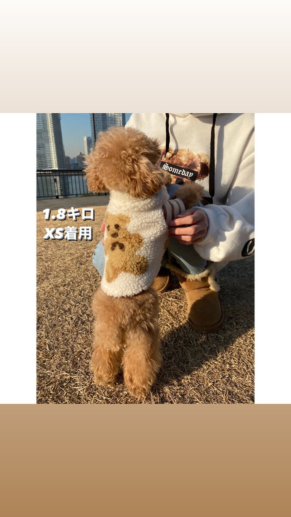 犬服 くまさん ボア ダウンジャケット 韓国 わんこ服 ハンドメイド 9枚目の画像