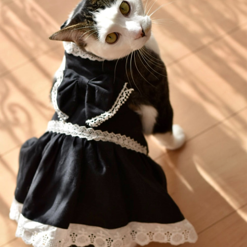 猫服（犬服） 黒ロリータ風 ペット服・アクセサリー 桜風堂 通販