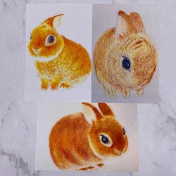 大きなうさぎのポストカード(絵画バージョン)6枚セット550円