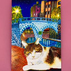 [眼鏡橋でおねむな猫ちゃん]同柄ポストカード3枚セット 2枚目の画像
