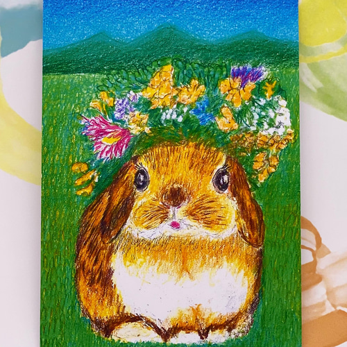 うささま専用ページ⭐︎ポストカード サマーSALE[うさぎの夏っぽいポストカードを集めました]ポスト