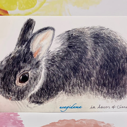木製プラークうさぎちゃん♡ヴィンテージカード·͜· ♡ 楽天市場】ホワイトタイガーとブラックタイガー カードホルダー