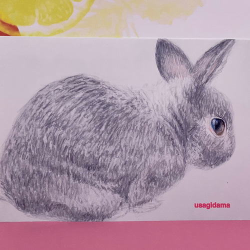 15万円です。ウサギちゃん(絵画) 15万円です。ウサギちゃん(絵画) （ウサギの作品一覧｜アート