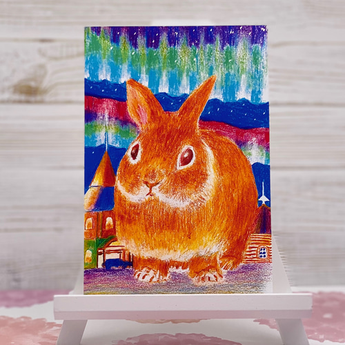 うさぎのポストカード2枚セット うさぎと流星群 うさぎと