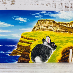 旅するうさぎシリーズ[うさぎちゃんデンマーク　フェロー諸島へ行く]同封ポストカード4枚セット 1枚目の画像