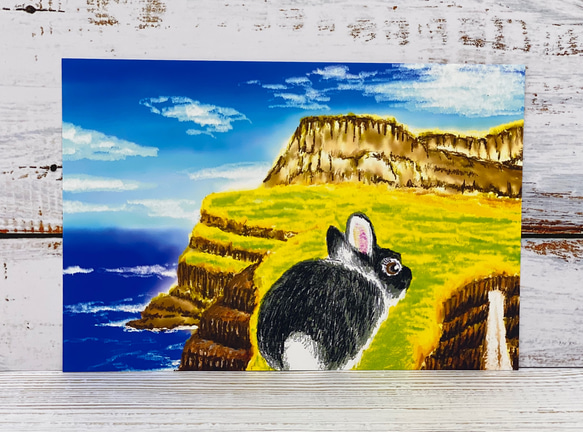 旅するうさぎシリーズ[うさぎちゃんデンマーク　フェロー諸島へ行く]同封ポストカード4枚セット 1枚目の画像