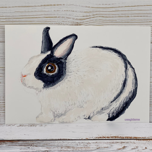 うさぎのデッサンシリーズ ポストカード4枚セット ポストカード  