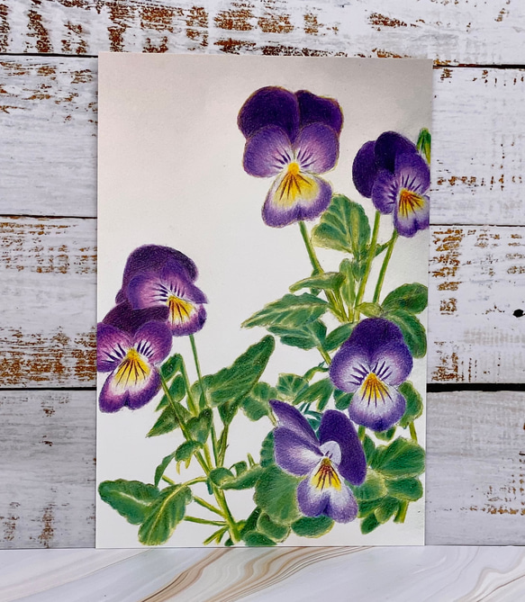 いろいろなお花のポストカード　ポストカード4枚セット 5枚目の画像