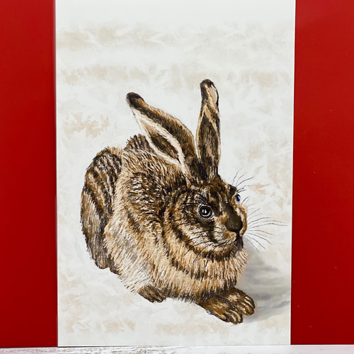 うさぎの絵画 模写 モチーフ[デューラー 野うさぎ]同柄ポスト