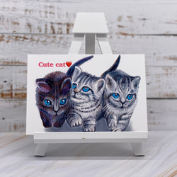 子猫ちゃん達のおしくらまんじゅうポストカード3枚&猫ちゃんのシール16枚&うさぎのシール3枚セット 4枚目の画像