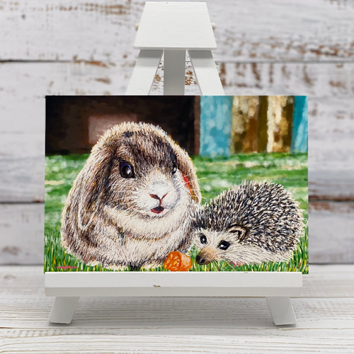 うさぎちゃんとハリネズミちゃん仲良しこよし❤️同柄ポストカード4枚