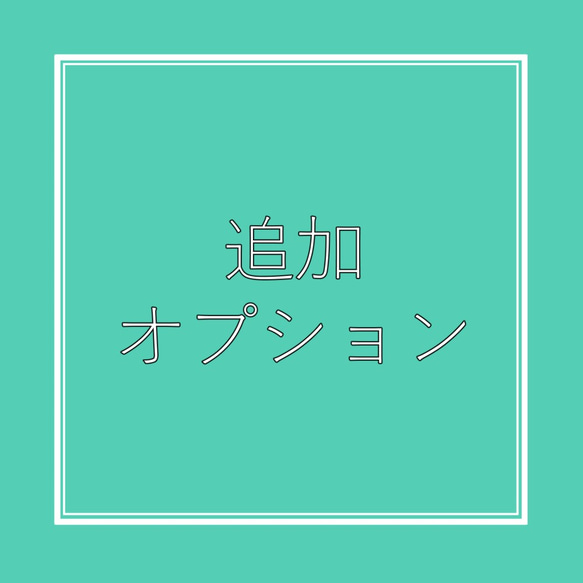 追加オプション 1枚目の画像