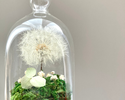 1_01d748b293eb00b7f25ff20a938c