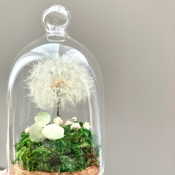 たんぽぽ綿毛のボトルフラワー（オレガノ）✳︎わたげのドライフラワー