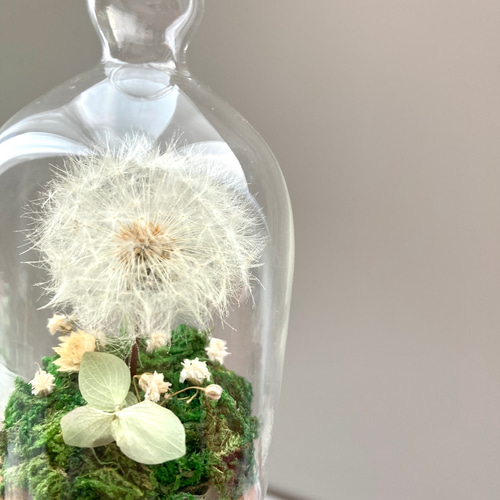 たんぽぽ綿毛のボトルフラワー（オレガノ）✳︎わたげのドライフラワー